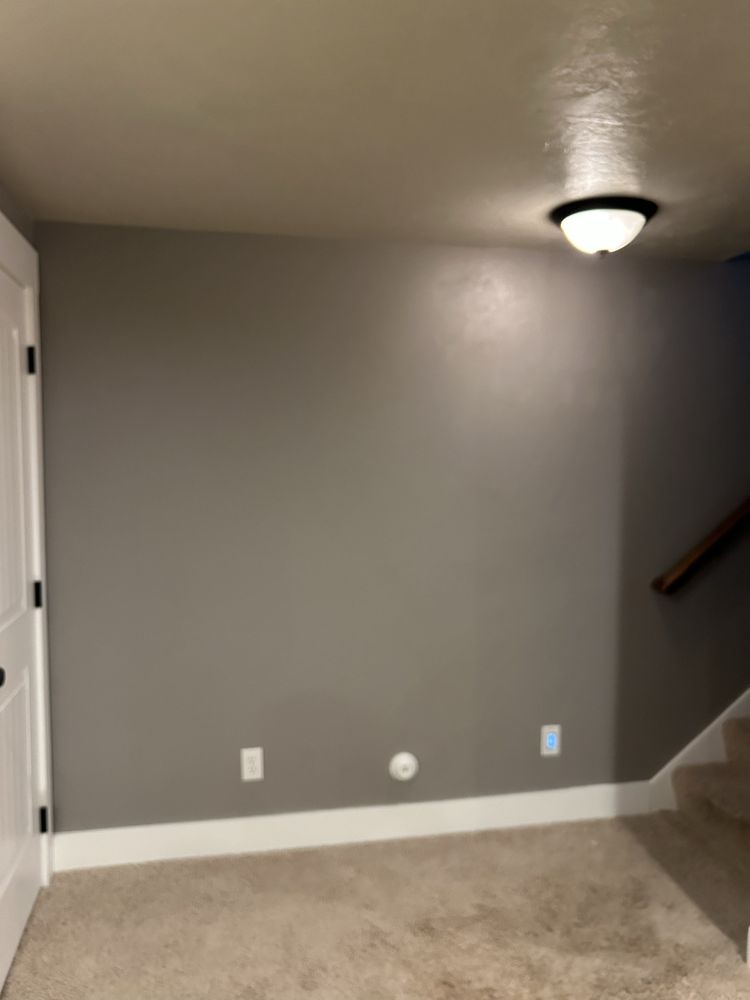Basement Paint & Trim