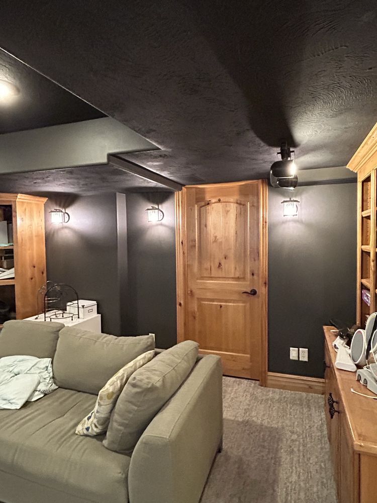 Basement Living Area